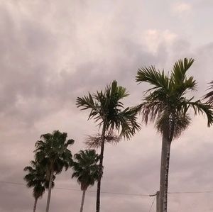 Meet your Posher, Cat